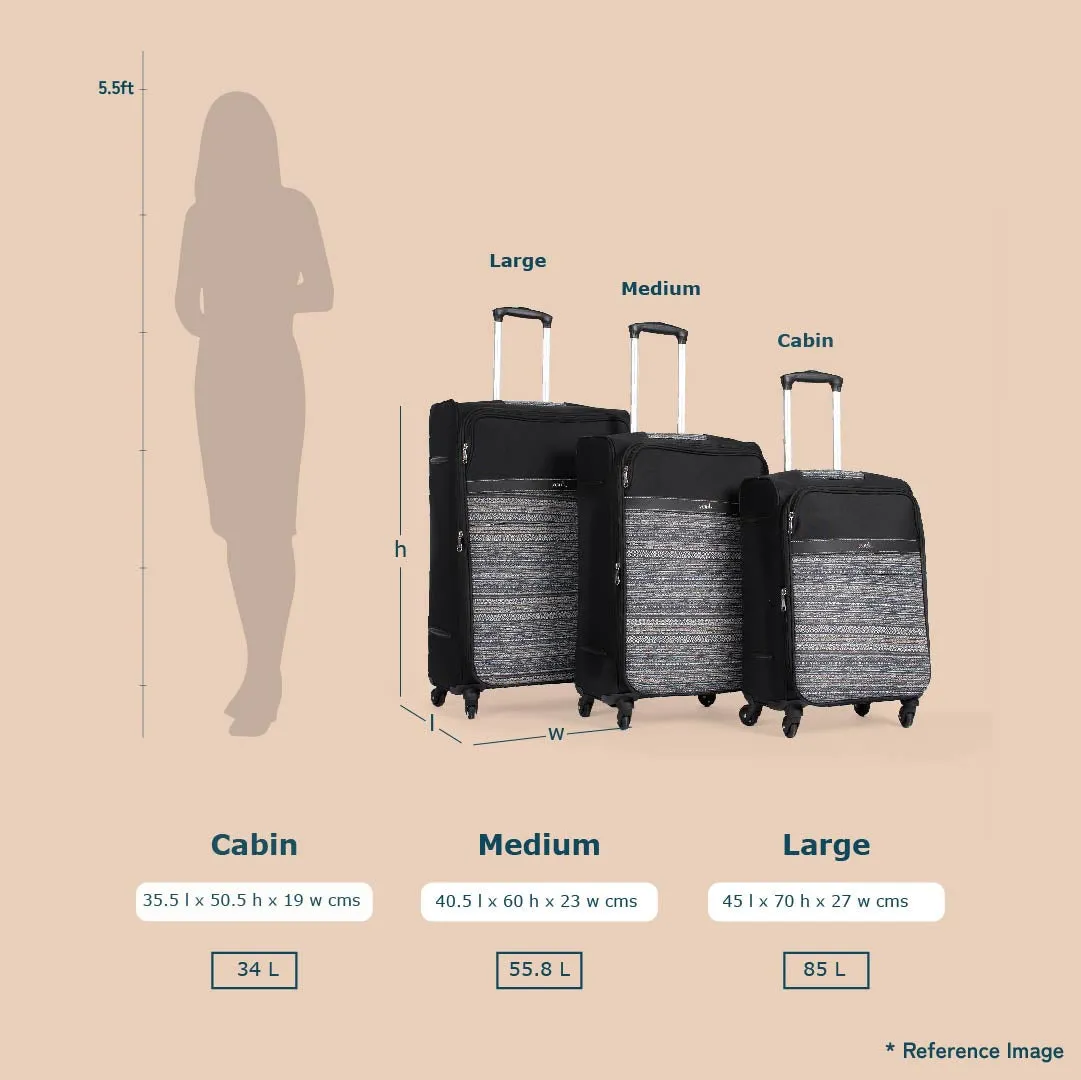 Bidri Kaiser Avasa Trolley Bag (Black)