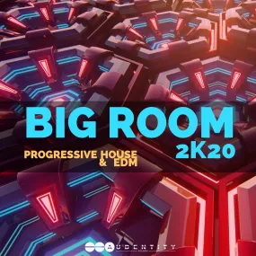 Big Room 2K20