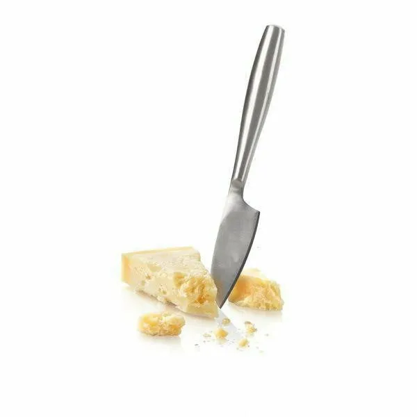 Copenhagen Hard Cheese Knife