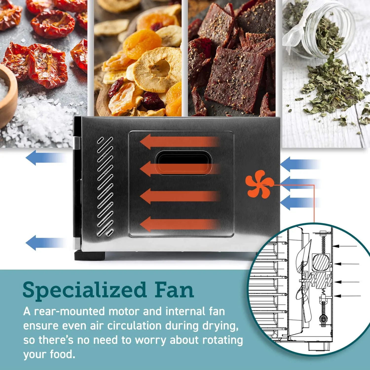 Food Dehydrator, 6 Stainless Steel Trays with Digital Timer and Temperature Control for Beef,Jerky,Fruit,Dog Treats,Herbs, FDA Compliant