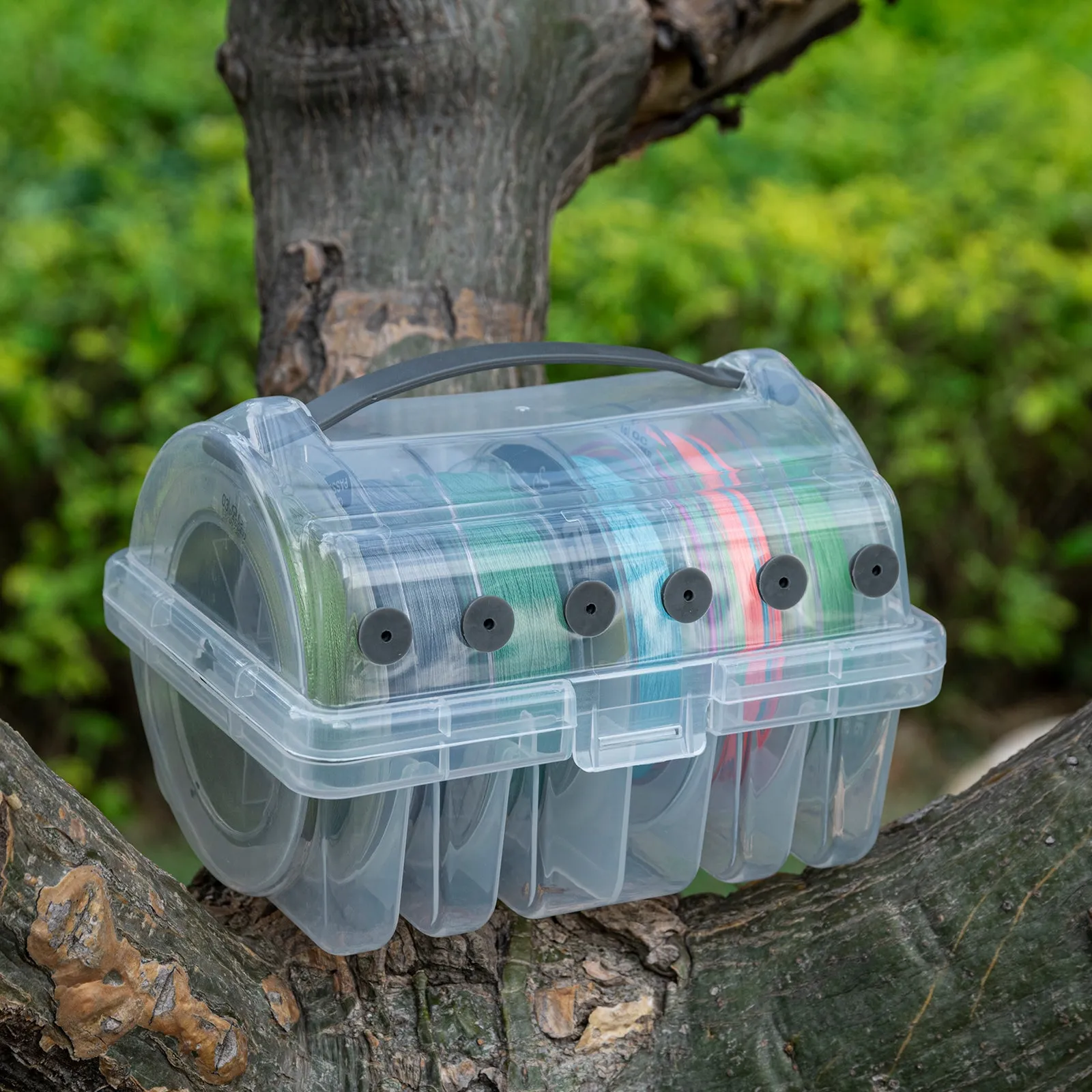 Goture Fishing Line Storage Box 1/2Pcs, 6(2 Large   4 Standard) Slots Fishing Line Case, PP Clear Visibility Fishing Line Organizer, Silicone Holes Line Spool Box