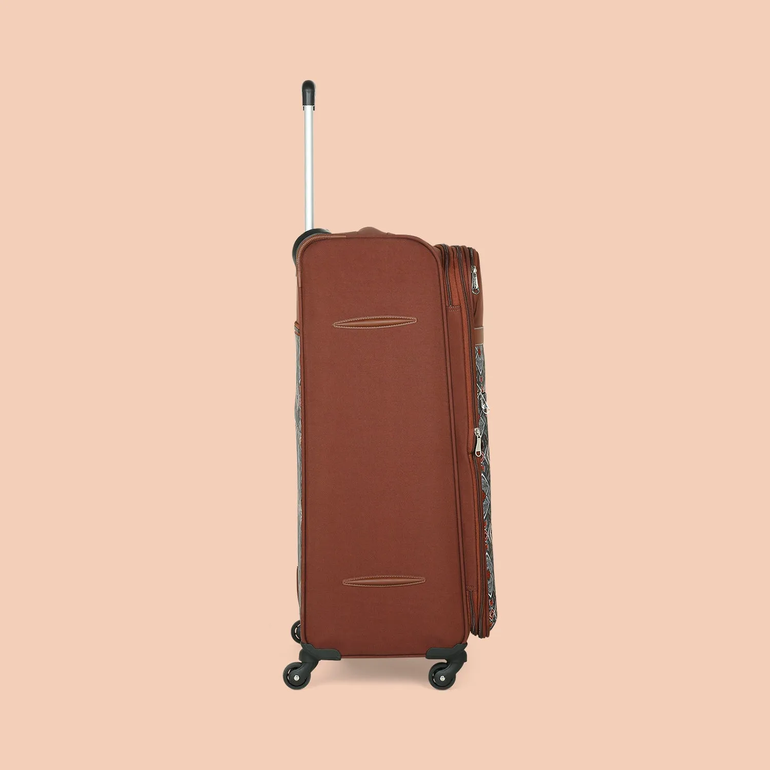 Himalayan Trails Avasa Trolley Bag Combo (Cabin & Large)