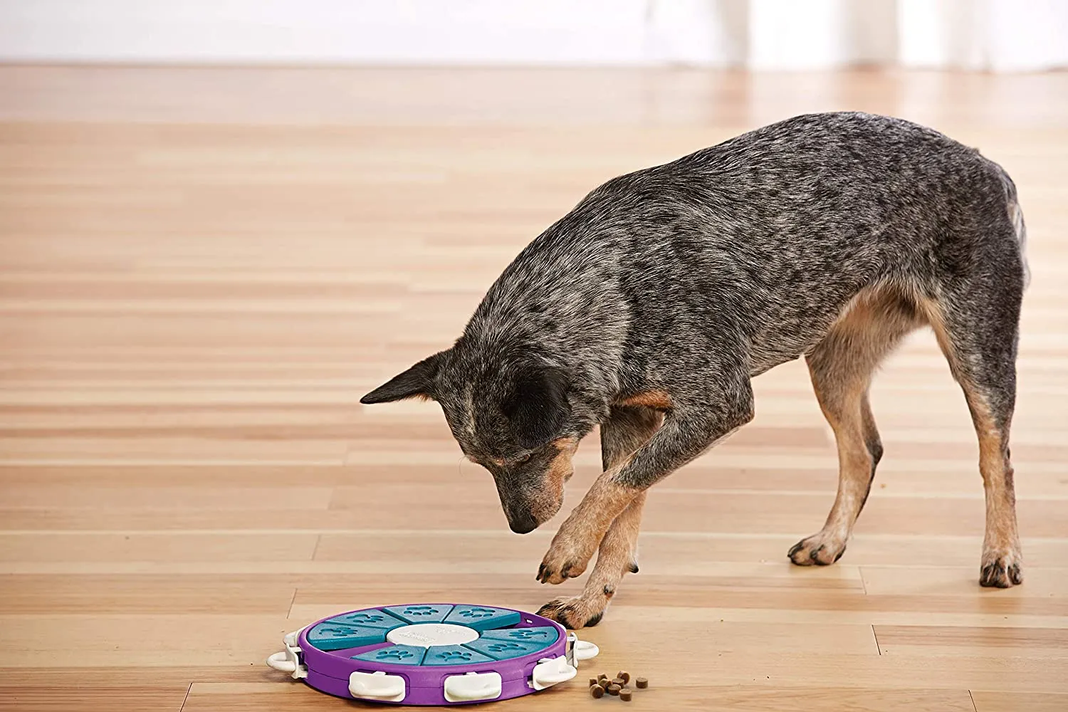 Nina Ottosson Dog Twister Puzzle Game (Level 3 - Advanced)