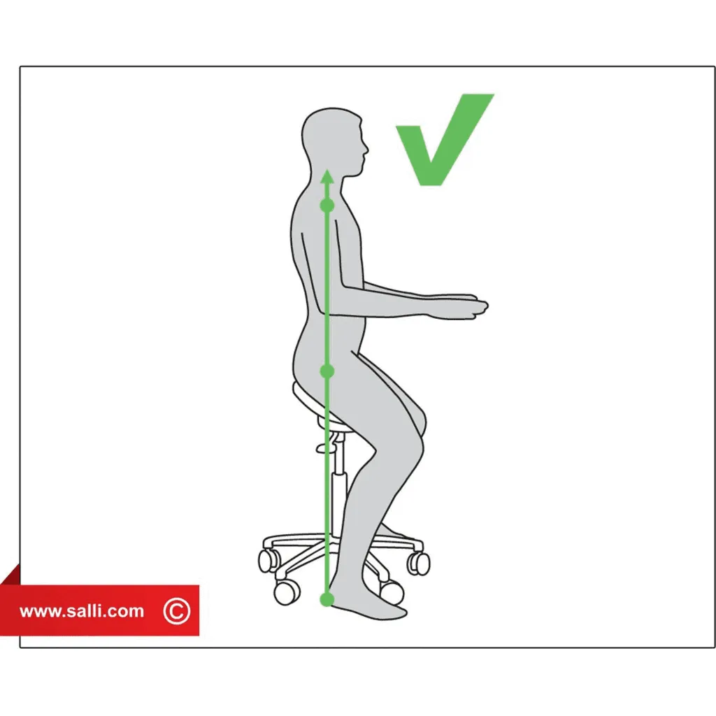 Salli Light Basic Ergonomic Medical Chair or Stool