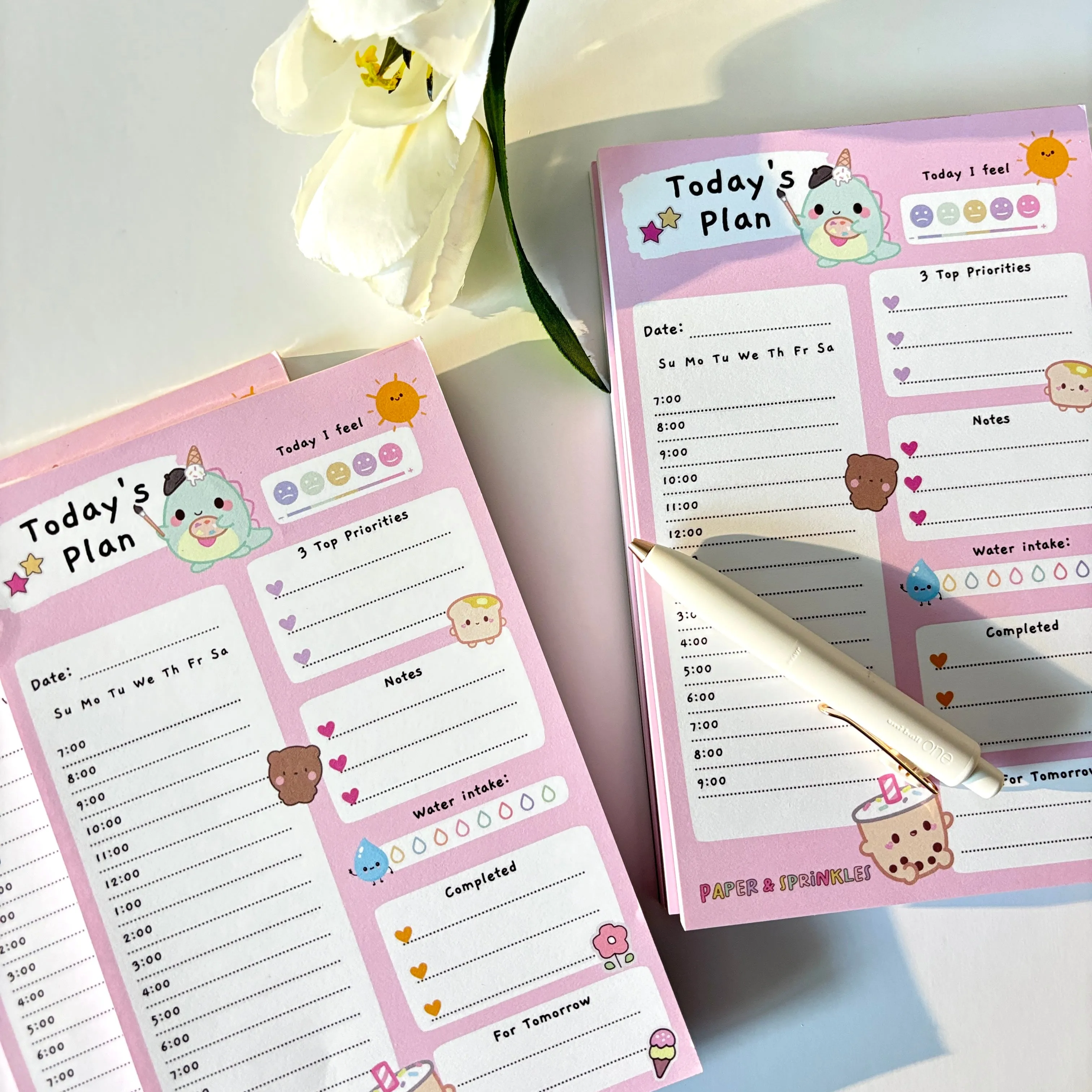 Today's Plan Daily Planner Pad